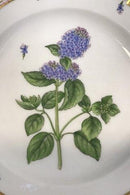 Royal Copenhagen Flora Danica Dessertteller Nr. 20/3551