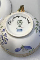 ロイヤルコペンハーゲン フローラダニカ ティーカップ/底部 No 081+082