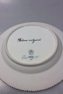 Royal Copenhagen Flora Danica Fisketallerken No 19/3549.