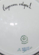 Royal Copenhagen Flora Danica Salat Tallerken No 20/3573