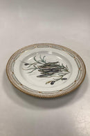 Royal Copenhagen Privat gemalt Flora Danica Fisch Teller Nr 3549