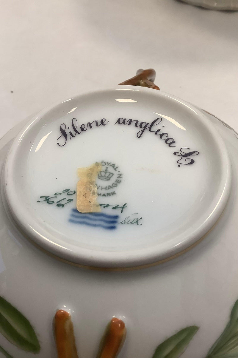 Royal Copenhagen Flora Danica Bouillon Kop med underskål No 20/3612