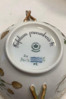 Royal Copenhagen Flora Danica Bouillon Kop med underskål No 20/3612