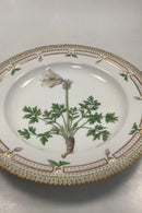 Royal Copenhagen Flora Danica Spisetallerken No. 624 ( 20 / 3549 )