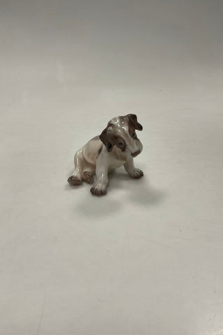Dahl Jensen Figur Hund Ruhåret Foxterrier Hvalp No. 1008