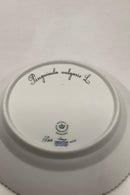 Royal Copenhagen Flora Danica Salat Tallerken No 20/3573