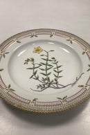 Royal Copenhagen Flora Danica Spisetallerken No. 624 ( 20 / 3549 )