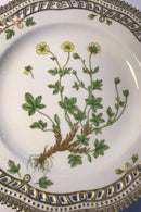 Royal Copenhagen Flora Danica tallerken med gennembrudt kant No 20/3553