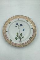 Royal Copenhagen Flora Danica Kuchenteller Nr. 20/3552.