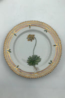 Royal Copenhagen Flora Danica Kuchenteller Nr. 20/3552.