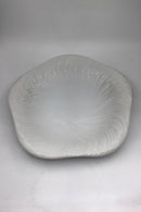 Royal Copenhagen Weißer Concylie Speiseteller Nr. 14172 (624).