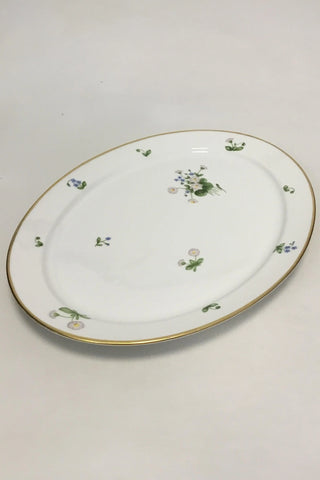 Royal Copenhagen Bellis et Følfod Große ovale Schale Nr. 9010