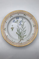 Royal Copenhagen Flora Danica Speiseteller Nr. 20/3549