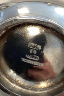 Sølvplet Sovsekande England