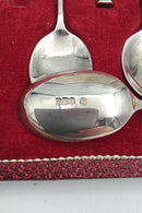 Francis Howard, Sheffield, England, Sterling Silver, Queen Anne, Coffee spoon + Mocha spoon (6+6)