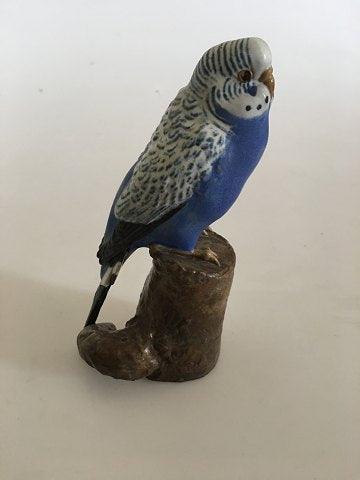 せきせいいんこ セキセイインコ - Wikipedia