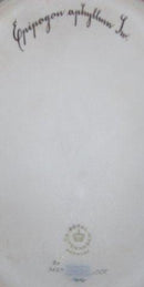 Königlich Kopenhagen Porzellan Flora Danica Schale für ovale Obstschale Nr. 3537