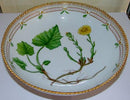 Königliches Kopenhagen. Porzellanschale Flora Danica Nr. 3504