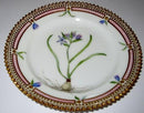 Königlich. Porzellanteller Flora Danica Nr. 3552 (6)