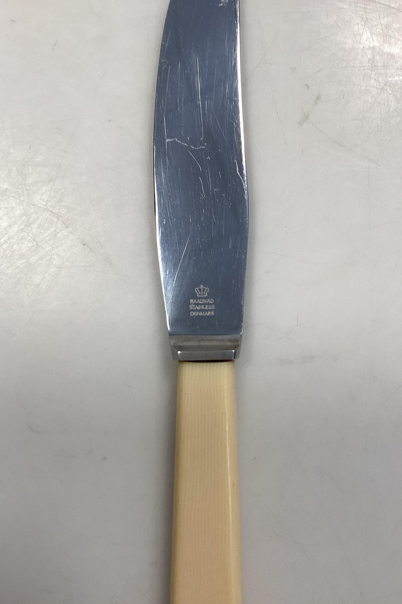 Raadvad Rustfri Spisekniv - 21,7 cm