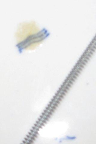 Royal Copenhagen Antik Musselmalet Riflet Spisetallerken