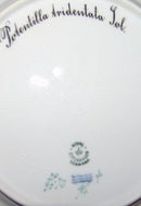 ロイヤルコペンハーゲン フローラダニカ ランチプレート No 3572