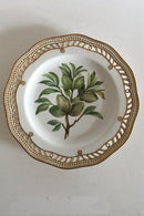 Royal Copenhagen Flora Danica Fruit Plate No 429/3584. Measures 22cm and is in perfect condition. Pre 1900  No 102
