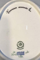 Royal Copenhagen Flora Danica Ovaler Teller Nr. 20/3540