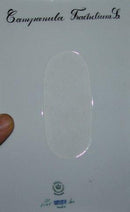 Royal Copenhagen Flora Danica Regtangular Serving Tray No 3565 or 364