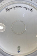 Royal Copenhagen Flora Danica Große durchbrochene Schale Nr. 384 oder 3529