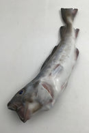 Royal Copenhagen Unika Figur af Torsk / Fisk signeret at Hallin i 1889 unika nummer 1059