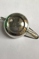 Sølvkande med lang næb