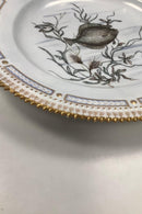 Royal Copenhagen Privat gemalt Flora Danica Fisch Teller Nr 3549