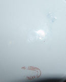 Bing & Grøndahl Hejre Tallerken fra 1886-1888 23,5cm