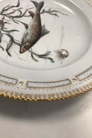 Royal Copenhagen Privat gemalt Flora Danica Fisch Teller Nr 3549