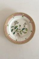 Royal Copenhagen Flora Danica Essteller Nr 3552 Seltene Arnold Krog Produktion 1904-1908
