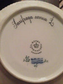 皇家哥本哈根Flora Danica侧盘No 3552