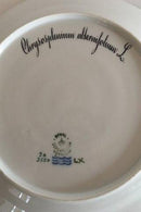 ロイヤルコペンハーゲン フローラダニカ ランチプレート No 3550