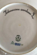 Royal Copenhagen Flora Danica Lunch Plate No 3550
