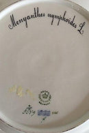 Royal Copenhagen Flora Danica Speiseteller Nr. 3549