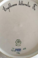 Royal Copenhagen Flora Danica Speiseteller Nr. 3549