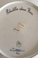 Royal Copenhagen Flora Danica Speiseteller Nr. 3549