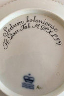 Royal Copenhagen Flora Danica Kuchenteller Nr 3552 Seltene Arnold Krog Produktion 1904-1908