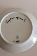 Royal Copenhagen Flora Danica Salatteller Nr. 20/3573