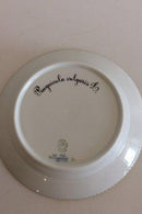 Royal Copenhagen Flora Danica Salatteller Nr. 20/3573