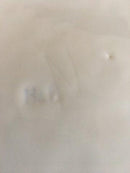 Tidlig Original Bing & Grøndahl Hejre Tallerken fra 1886-1888