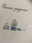 Royal Copenhagen Blue Fish Plate with Gold No 1212/3002