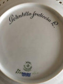 Royal Copenhagen Flora Danica durchbrochener Mittagsteller Nr. 20/3554