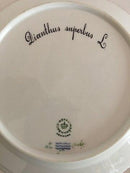 ロイヤルコペンハーゲン フローラダニカランチプレート No.3550