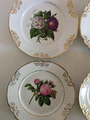 4 Royal Copenhagen Empire Tallerkener af Klein fra 1840-1860